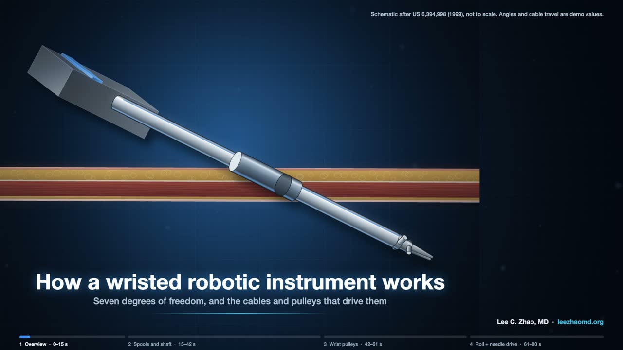 Title frame of the video: The wristed instrument